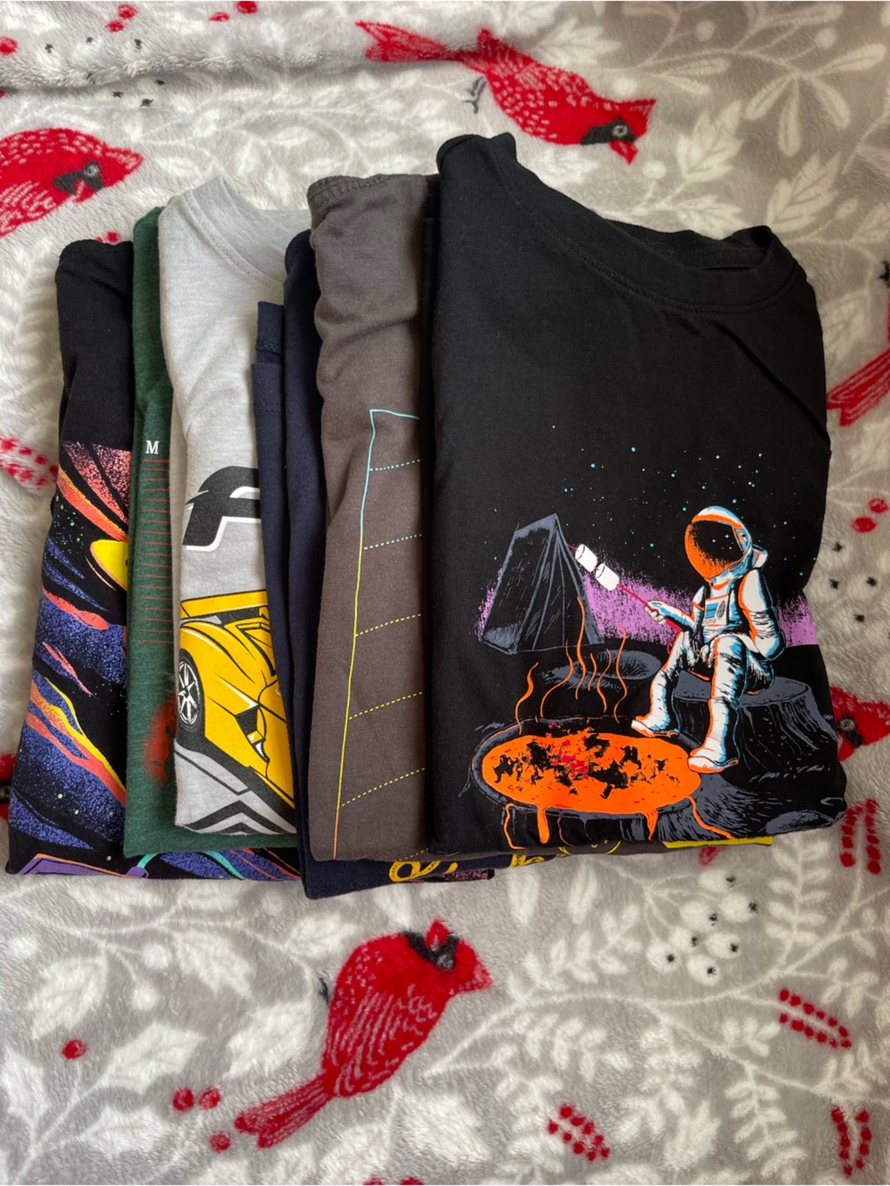 Bundle of 6 Boy T-Shirts